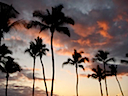 Maui Sunset- 11 Palm Trees